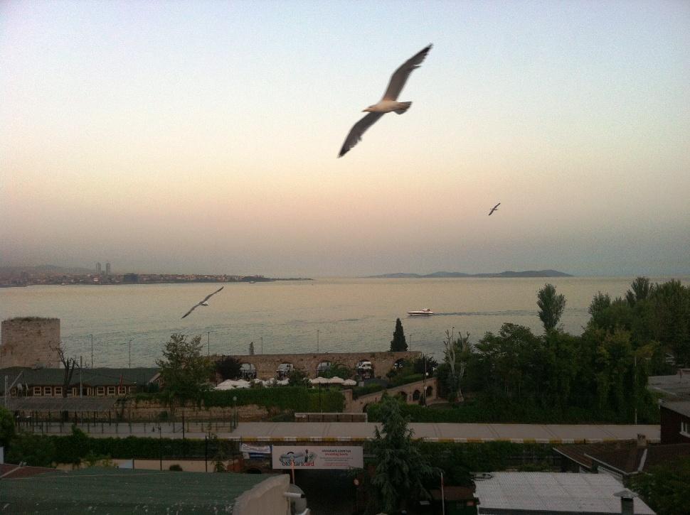 Spinel Hotel - Old City Istanbul Exterior photo